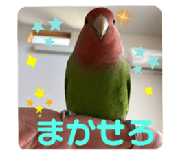 478308242