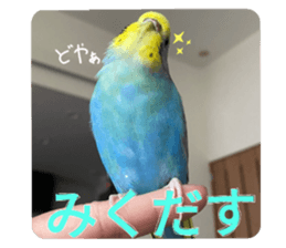478308250