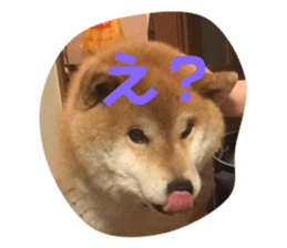 478496290