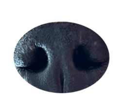 478503650