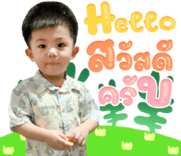 478530246