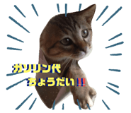 478633887