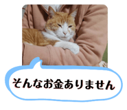 478633901