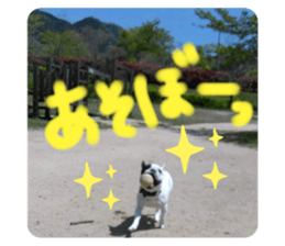 478641662