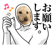 478656352