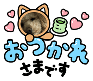478656356