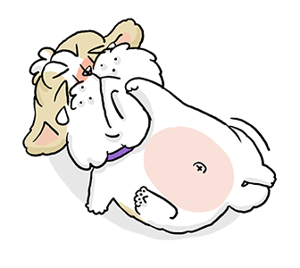 หมาจ๋า | ดุ๊กดิ๊ก มีเสียง 2565 รูปที่ 15