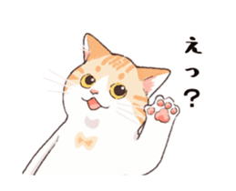 478698801