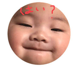 478726553