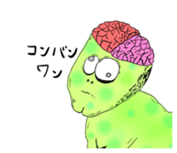 47874602