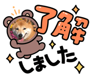 478797322