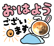 478797325