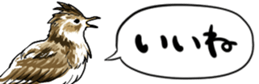 478872084