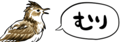 478872094