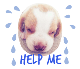 478873382