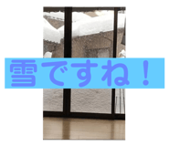 478926331