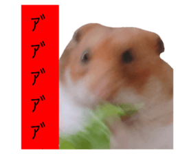 479204800