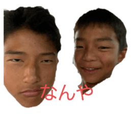 479208557