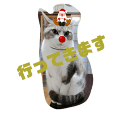 479242731
