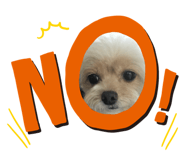 479303065