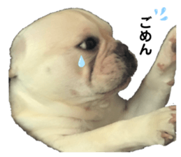 479309913