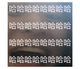 479394748