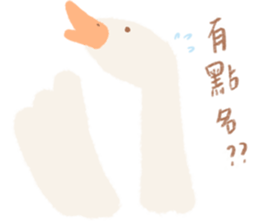 479506258