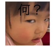 479540817