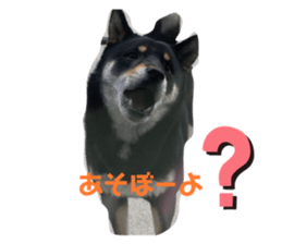 479758794