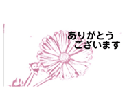 479761062
