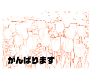 479761071