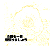 479761072