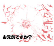 479761082