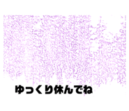 479761083