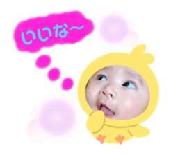 480008633