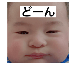 480048144