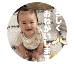 480061134