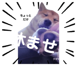 480206484