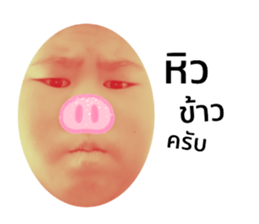 480275926
