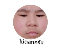 480275931