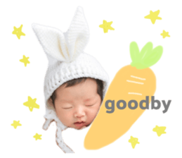 480331933