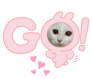 480334745