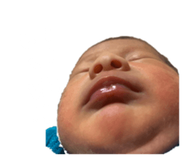 480336067