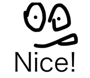 480453259