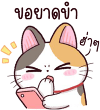480456821