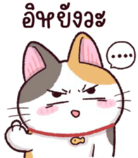 480456828