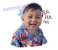 480466687