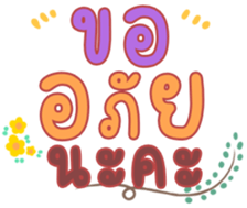 480471062