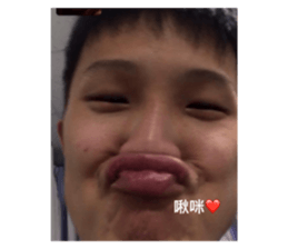 480502594