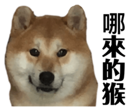 480503473